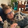 House sit pet parent - Cottage in Henley on Thames - easy bedlington/whippet Lurcher & puppy