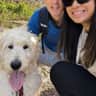 House sit pet parent - House Sitter Needed for Casey, The Friendly Goldendoodle Puppy