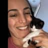 House sit pet parent - Peaceful city home with 4 kitties