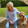 House sit pet parent - Enjoy exploring The Cotswolds?