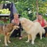 House sit pet parent - Two dogs living in an Artist Studio, in rural Portugal