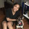 House sit pet parent - Dog Sitter wanted for a furry cuddle bug in LA Townhome