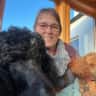 House sit pet parent - Poodles need attention & love