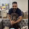 House sit pet parent - Require a responsible and caring sitter for one month