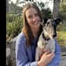 House sit pet parent - Fox Terrier looking for a friend in lovely Launceston
