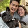 House sit pet parent - Melbourne City views and an affectionate Frenchie