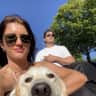 House sit pet parent - Sweetest Golden Retriever needs all your love and cuddles