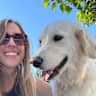 House sit pet parent - Bright 2BR Apartment + Loving Dog in Central, Park-Rich Area