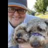 House sit pet parent - 2 adorable dogs looking for a sitter - 7 weeks Sep/Oct