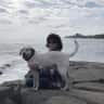 House sit pet parent - Quintessential Southern Maine coastline and 2 fun dogs