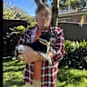 House sit pet parent - House sitting & Chihuahua  cross sitting on Sydney’s Northern Beaches
