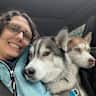 House sit pet parent - SW Michigan Huskies Seek Companion