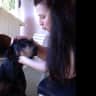 House sit pet parent - Countryside paradise, very sweet and well-behaved dogs, wonderful place to relax