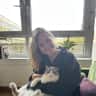 House sit pet parent - House sitter required for two beautiful ragdolls