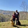 House sit pet parent - Quiet, Blue Ridge Mountain house with 2 easy, sweet dogs