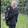House sit pet parent - Pet sit poodle at wonderful country cottage in Trentham, Victoria