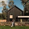 House sit pet parent - Watch Ollie and stay in our Scandi Home!
