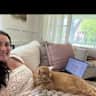 House sit pet parent - Bright North Shore Chicago Home Seeking Companion for Peanut