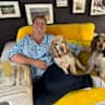 House sit pet parent - Stay in Harrogate keeping our 2 show cocker spaniels company