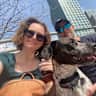 House sit pet parent - Charming NYC Astoria Stay with the Sweetest, Silliest Dog