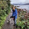 House sit pet parent - Smallholding with stunning views and a lively springer to take you for walks