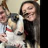 House sit pet parent - Cotswold house near Burford