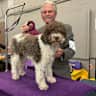 House sit pet parent - Dog Sitting In Scottsdale, AZ