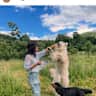 House sit pet parent - Catskills farmhouse on 30 acres