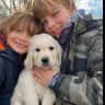 House sit pet parent - Sit for sweet Golden Retriever in charming Alexandria, VA