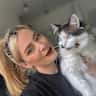 House sit pet parent - Comfortable Brighton home & one easy-going indoor cat