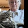 House sit pet parent - Indoor/outdoor cat needs companionship, pets and food