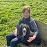 House sit pet parent - Farm life with dogs, kitten and lots of countryside