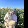House sit pet parent - Sitter needed to cuddle and care for our pup, cats and cosy home on the GC
