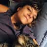 House sit pet parent - The best cats in an elegant apartment in Tirana