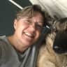 House sit pet parent - House Sitter needed to have fun with our GSD Skye in a beautiful rural locatio…