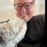 House sit pet parent - Pet sitter required!