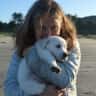 House sit pet parent - Dog sitting for a lovable English cream retriever in a peaceful mountain setting