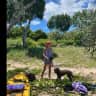 House sit pet parent - pet love in scenic whitsunday paradise!