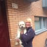 House sit pet parent - Cats Buckie and Fyvie looking for company in Amsterdam