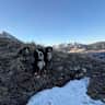 House sit pet parent - Quite house in a beautiful foothills neighborhood with cute dogs :)