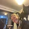 House sit pet parent - Two little cats need looking after for two weeks in July!