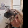 House sit pet parent - House with garden near Bordeaux with two cats