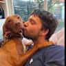 House sit pet parent - Spend Christmas in Holland with a Hank Jr. the happy Vizsla!