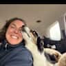 House sit pet parent - Lake Vaca, Pet Sit, and House Sit