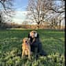 House sit pet parent - Countryside stay with a 1 year old
Golden retriever