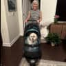 House sit pet parent - Luxury Apartment in Kansas City Area
