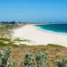 House sit pet parent - Beachside House & Pet Sit