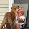 House sit pet parent - Suburban Madison neighborhood-close to all Madison has to offer!.
