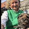 House sit pet parent - Come and look after Teddy our Border Terrier in a Victorian terrace near park
