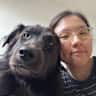 House sit pet parent - Sunny 1BR Stay in PLG with Large Friendly Dog